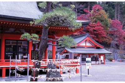 ศาลเจ้า คะนะซากุระ (Kanazakura Shrine) Power Spot