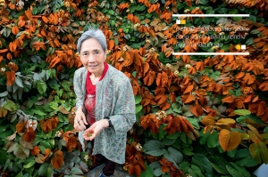 ดุลยภาพ จากอาหารและการกิน