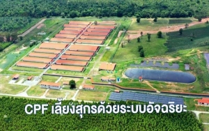 ซีพีเอฟ ดันเกษตรกรคอนแทรคฟาร์มมิ่ง ใช้เทคโนโลยี-นวัตกรรม-ออนไลน์ มุ่งเป้าสู่ฟาร์มอัจฉริยะ (Smart Farm)